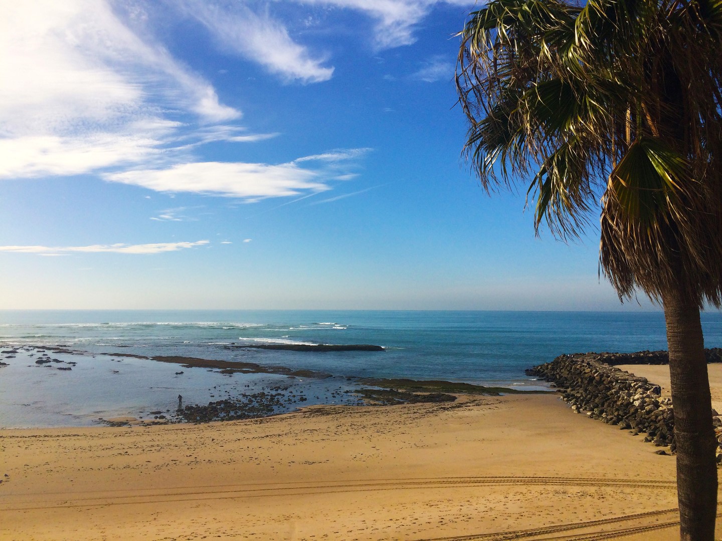 C Diz Santa Mar A Del Mar